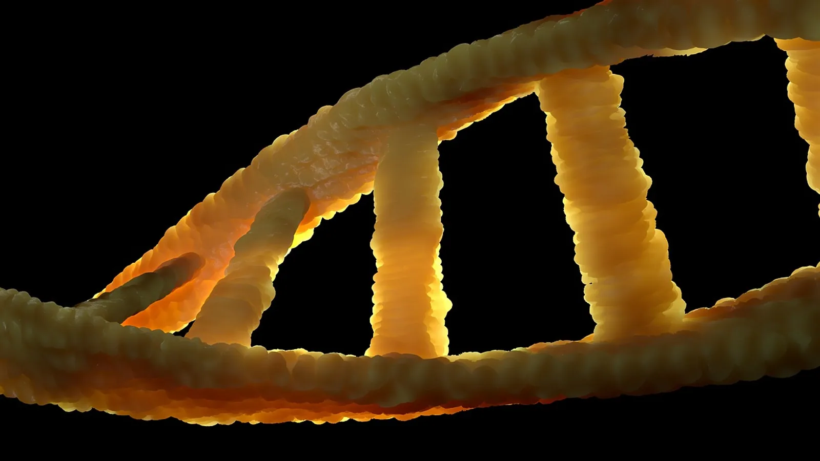 DNA Codon: Chart, Start and Stop Signals