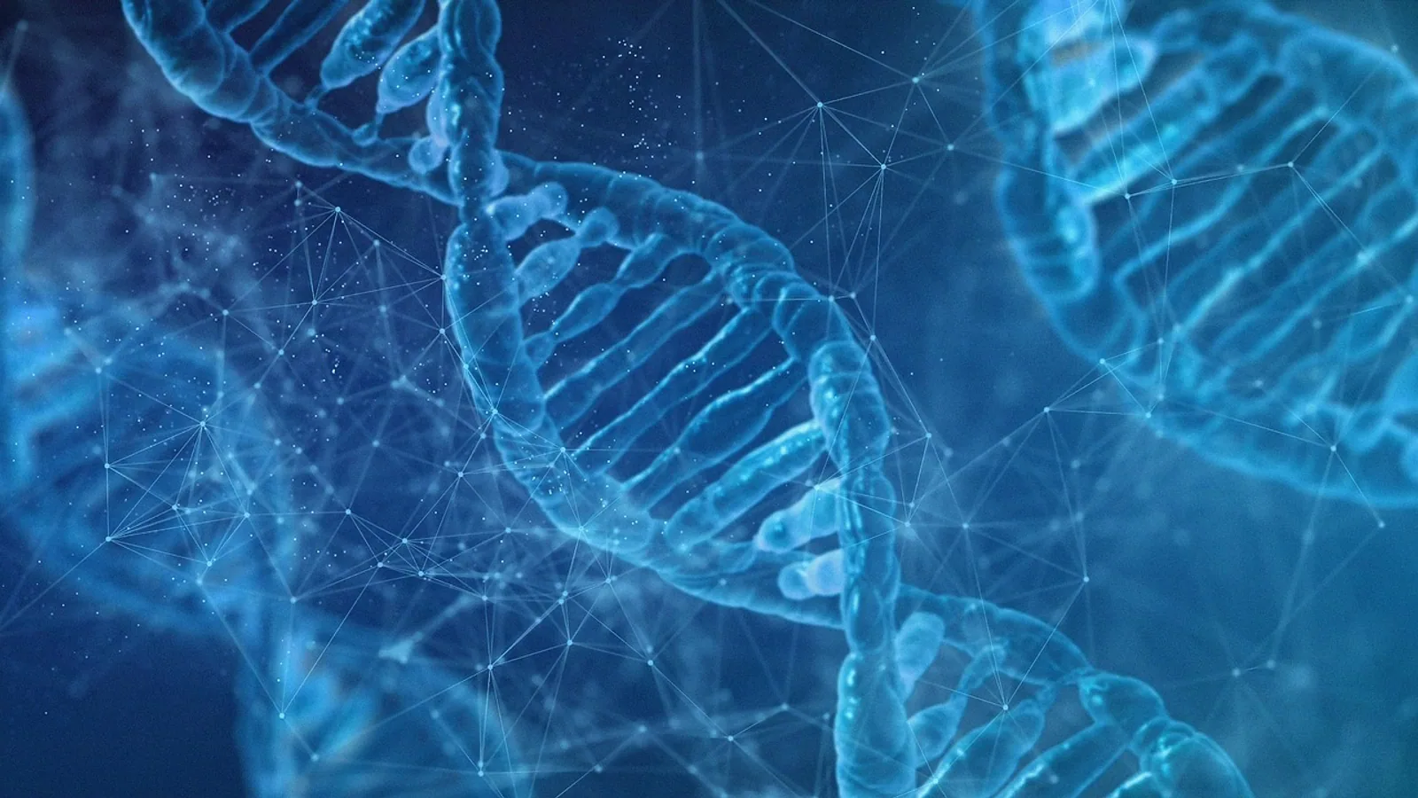 Diploid vs Haploid: Chromosome Number Explained