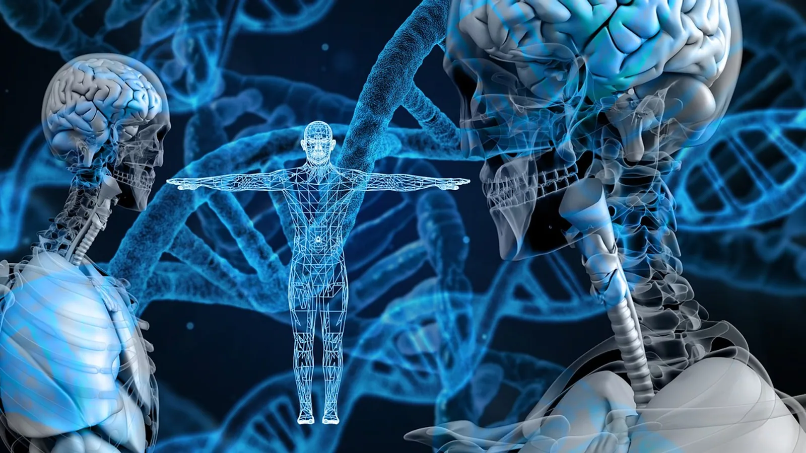 DNA Synthesis Steps: Replication Explained