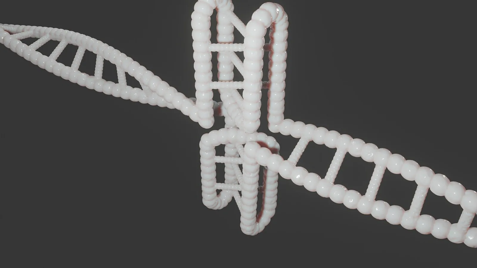 Transformation Definition: Meaning in Molecular Biology