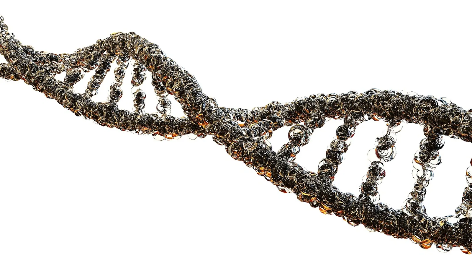 Acetylation Group: Role in Proteins and Drugs