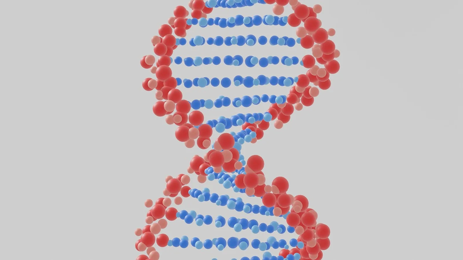Simple Sequence Repeats: SSR Markers Explained
