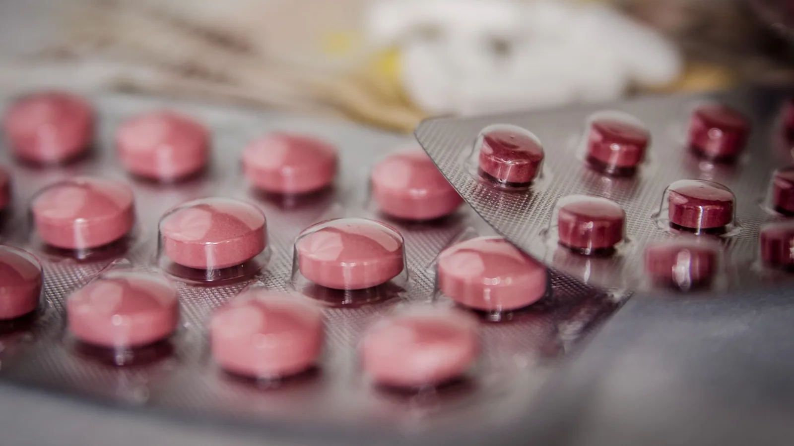 Antibacterial for Dogs: Types, Uses and Safety