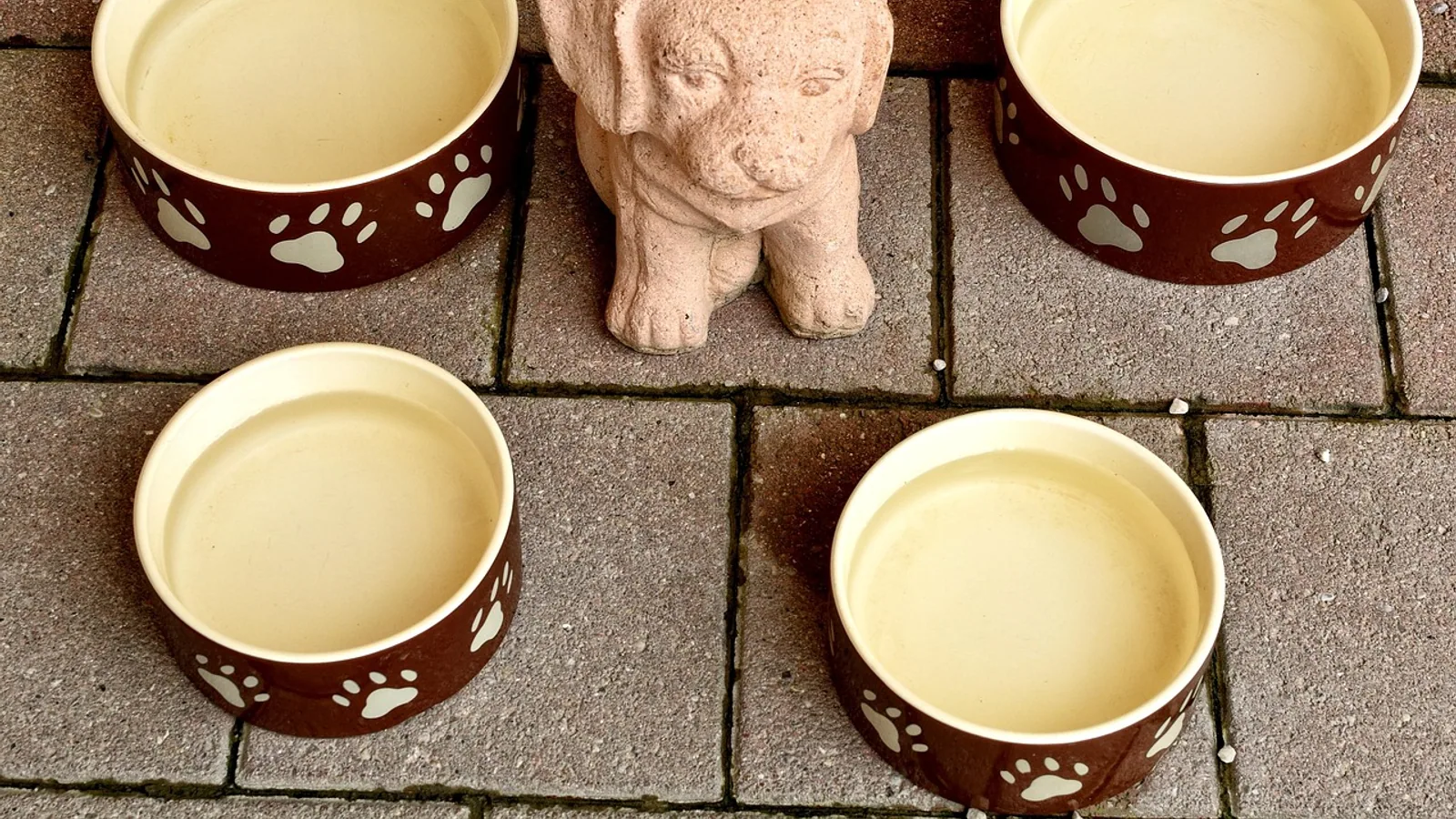 Dog Calorie Calculator: Daily kcal Needs by Weight