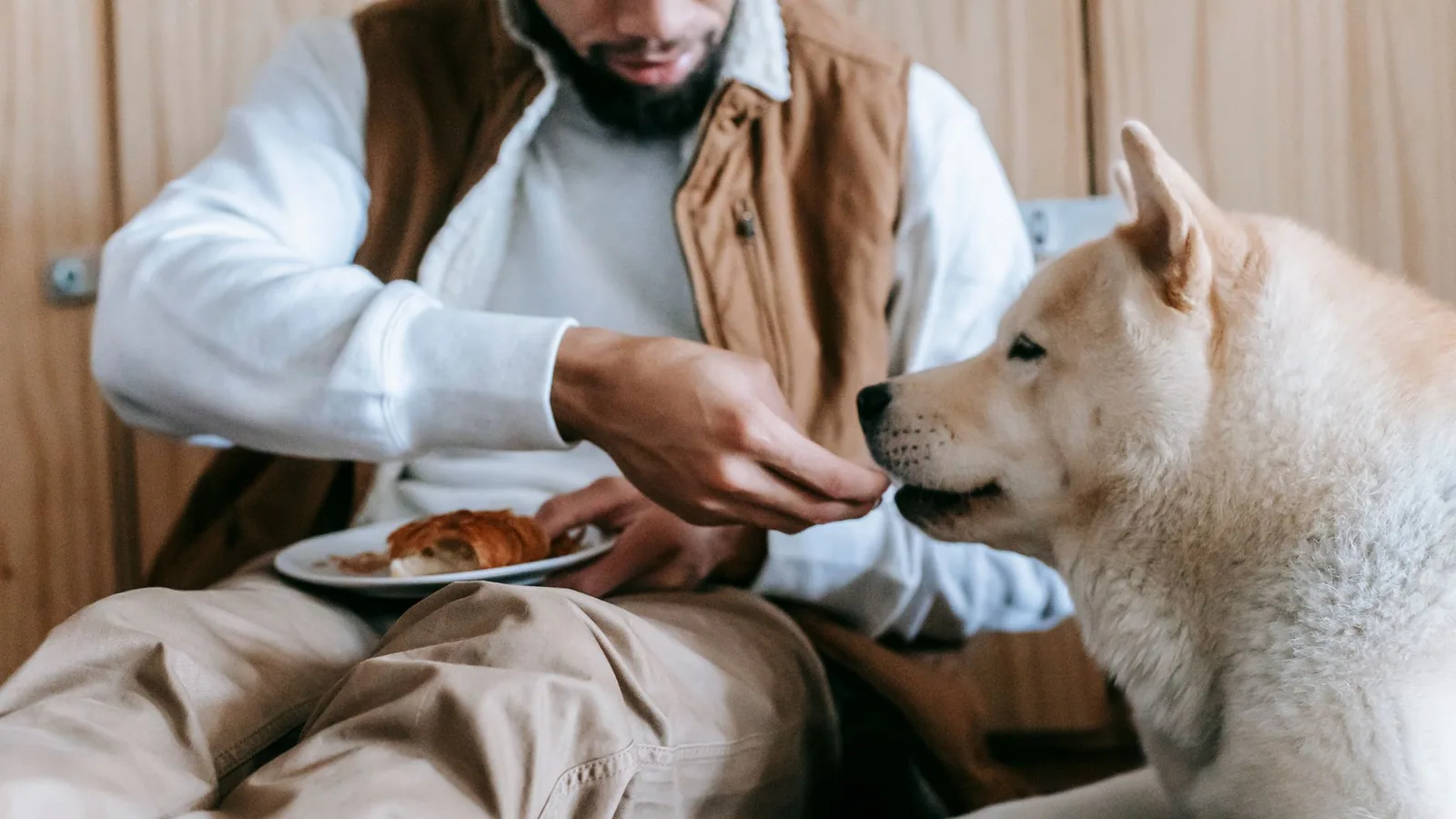 Can Dogs Eat Strawberry Low Fat Yogurt