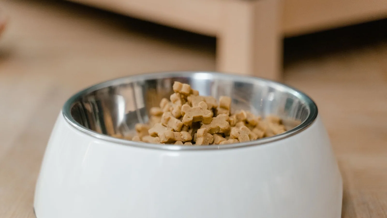A stainless steel dog bowl filled with dry dog treats on a wooden floor