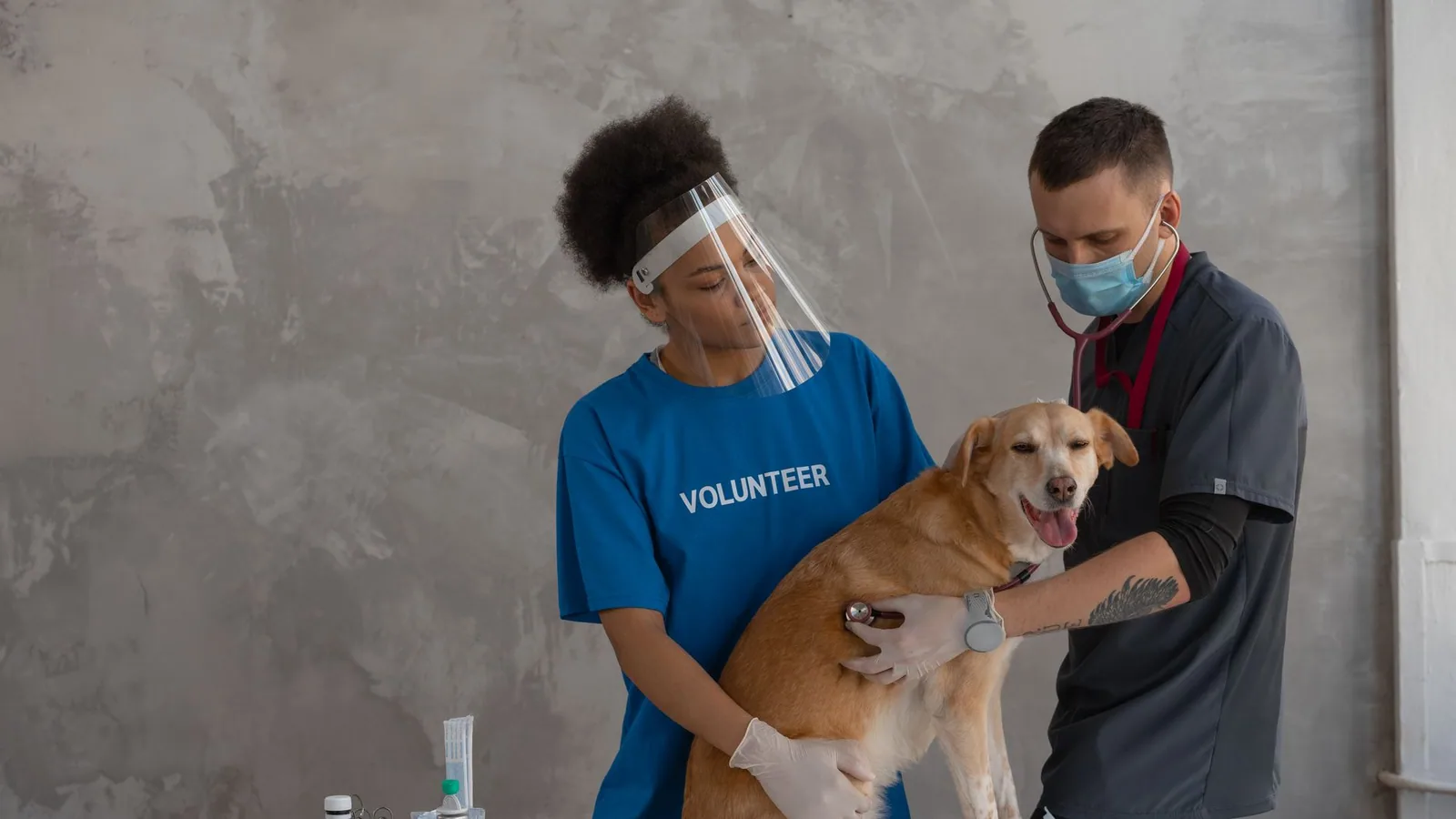 Veterinarian and volunteer examine dog using PPE in clinic setting, promoting pet care