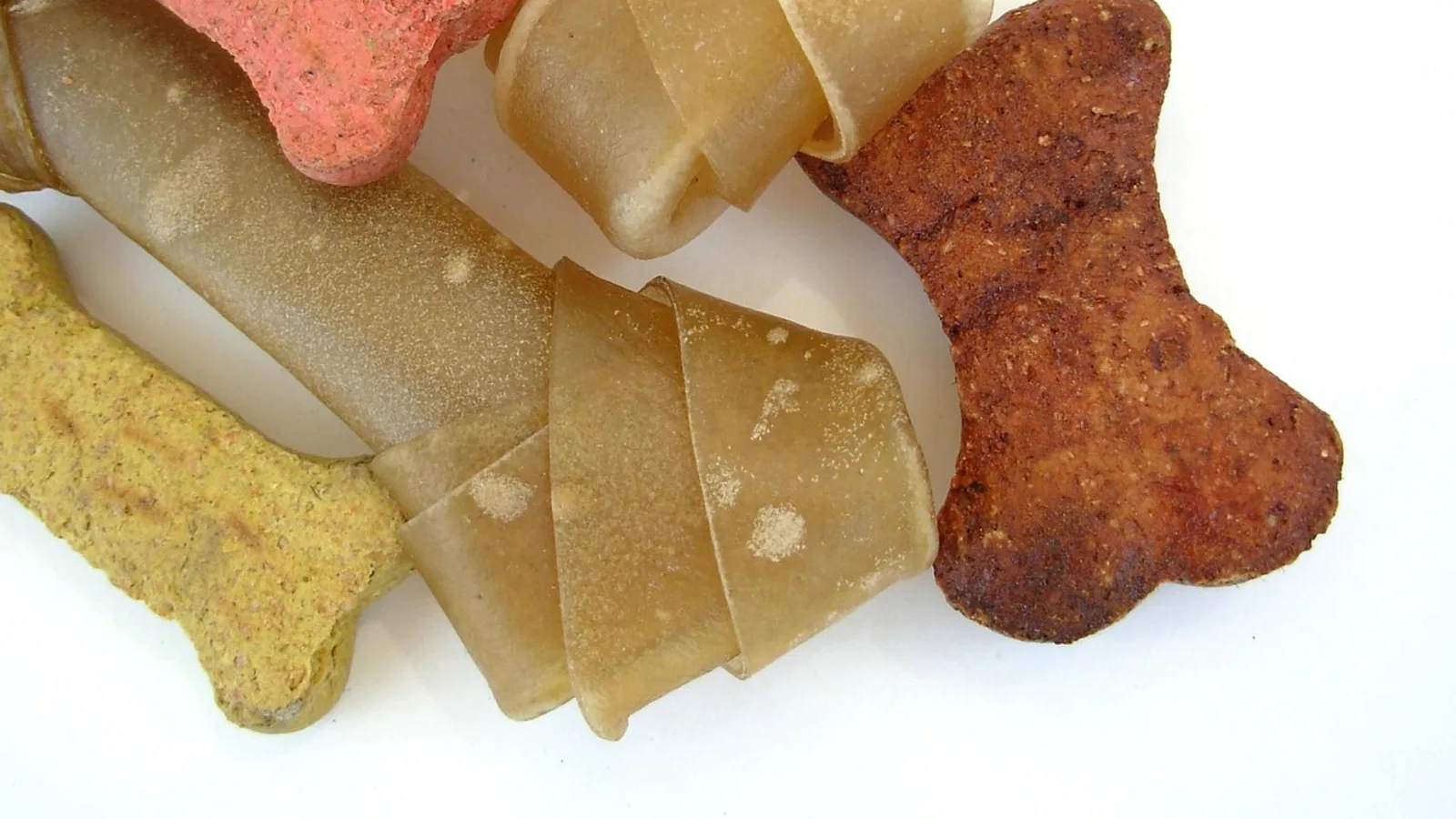 Can Dogs Eat Coconut? Benefits and Safety Limits