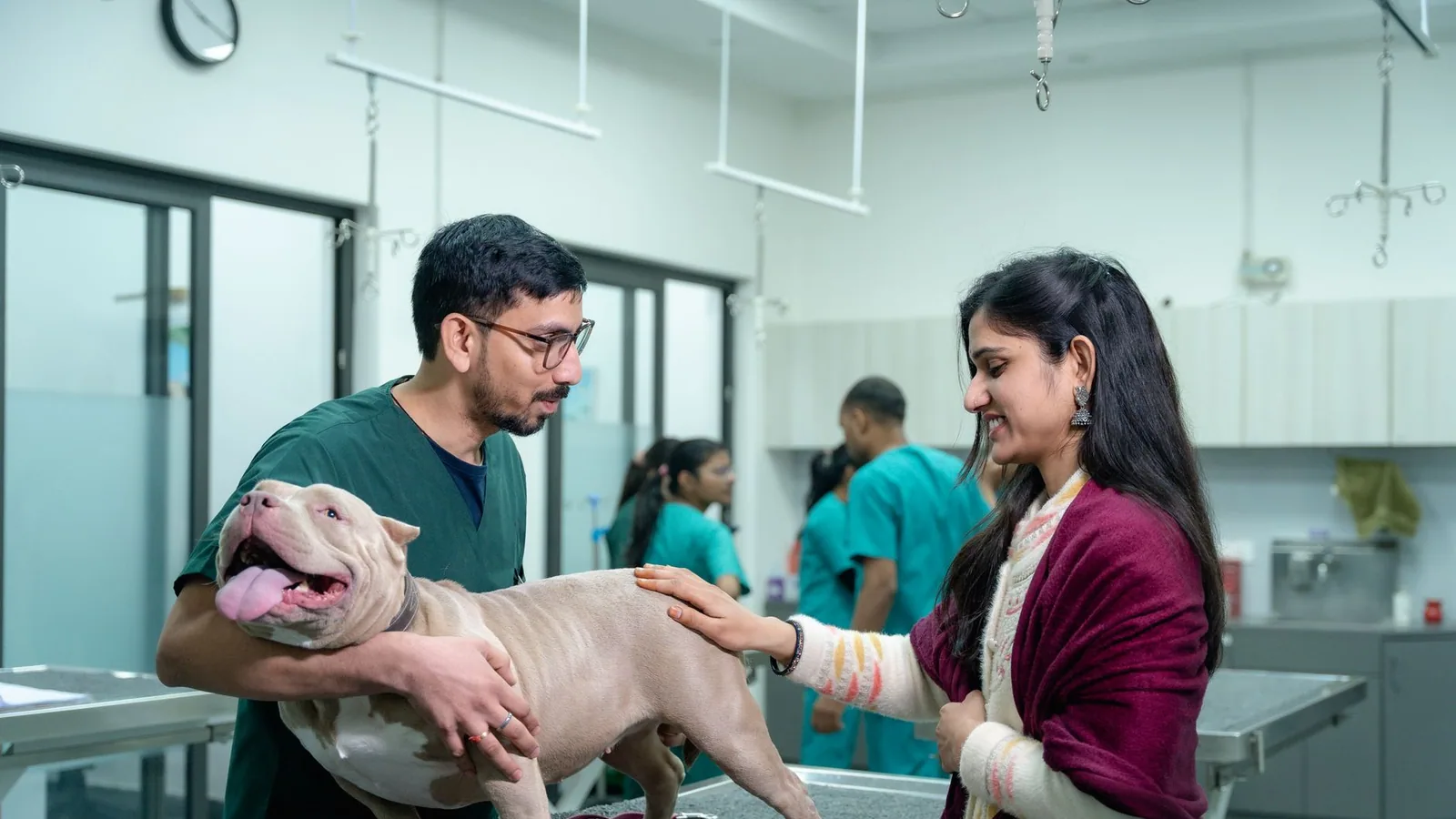 A vet examines a dog with its owner at a veterinary clinic