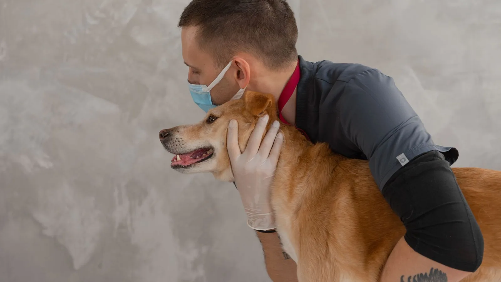 A caring veterinarian embraces a happy dog during a routine checkup. Captures empathy and professionalism