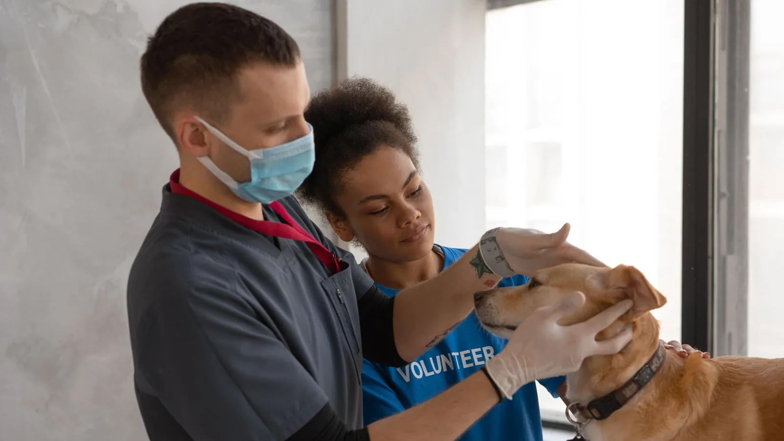 A veterinarian and volunteer care for a dog's health in a clinic setting