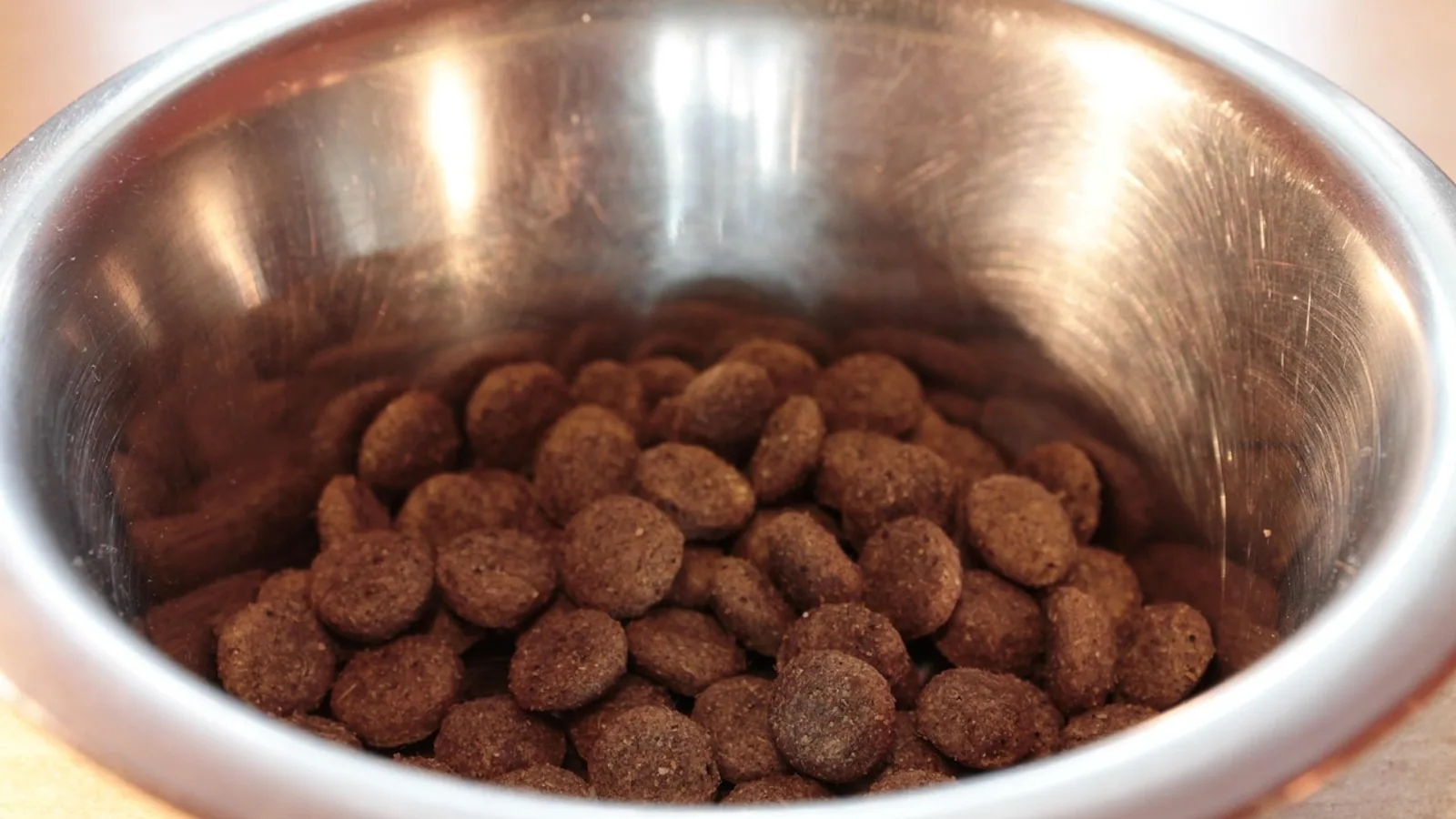 Top Dog Food Allergies: Ingredients to Avoid