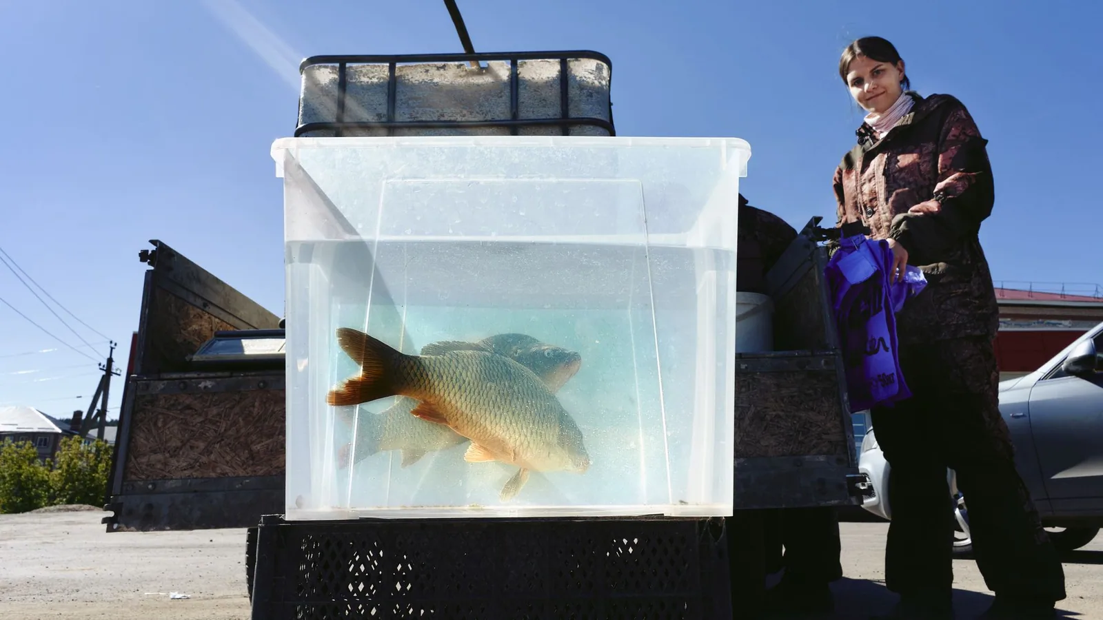 The Mechanics of Swimming in Schools: How Fish Coordinate Collective Movement