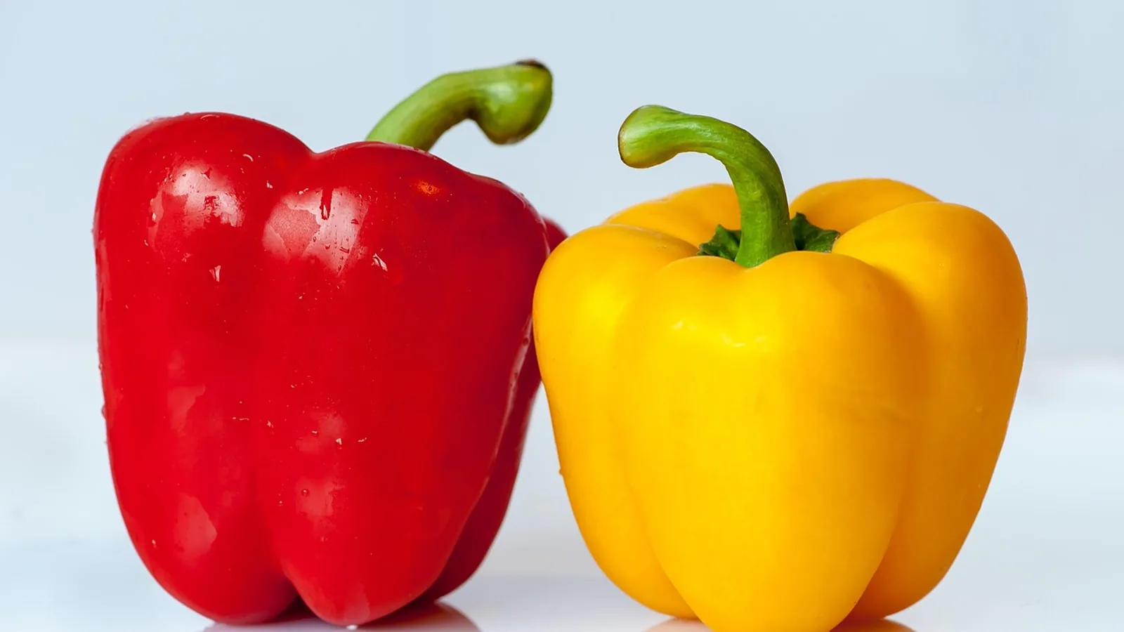 Can Dogs Eat Red and Bell Peppers?