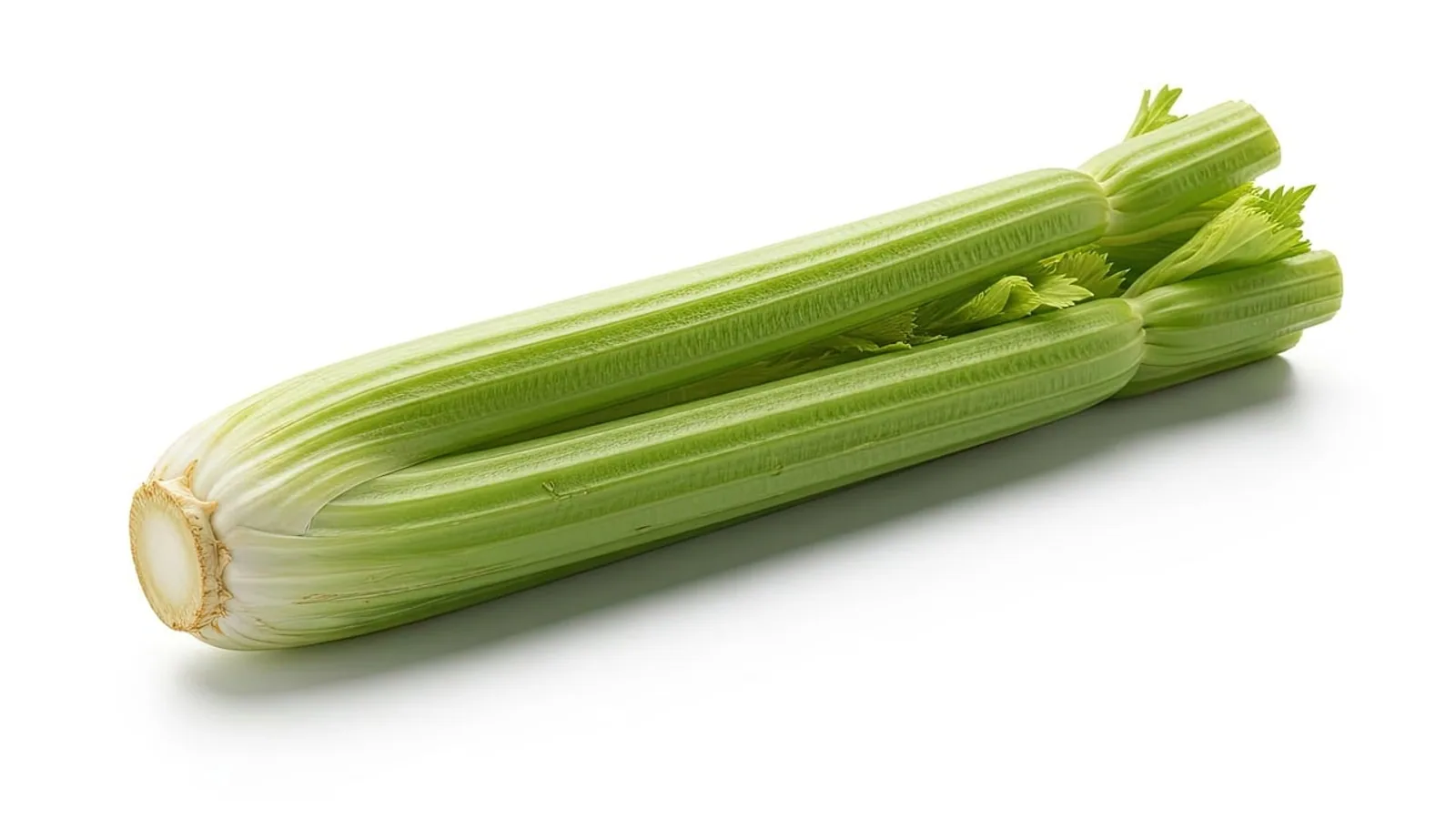 Can Chickens Eat Celery? Safe Feeding Guide