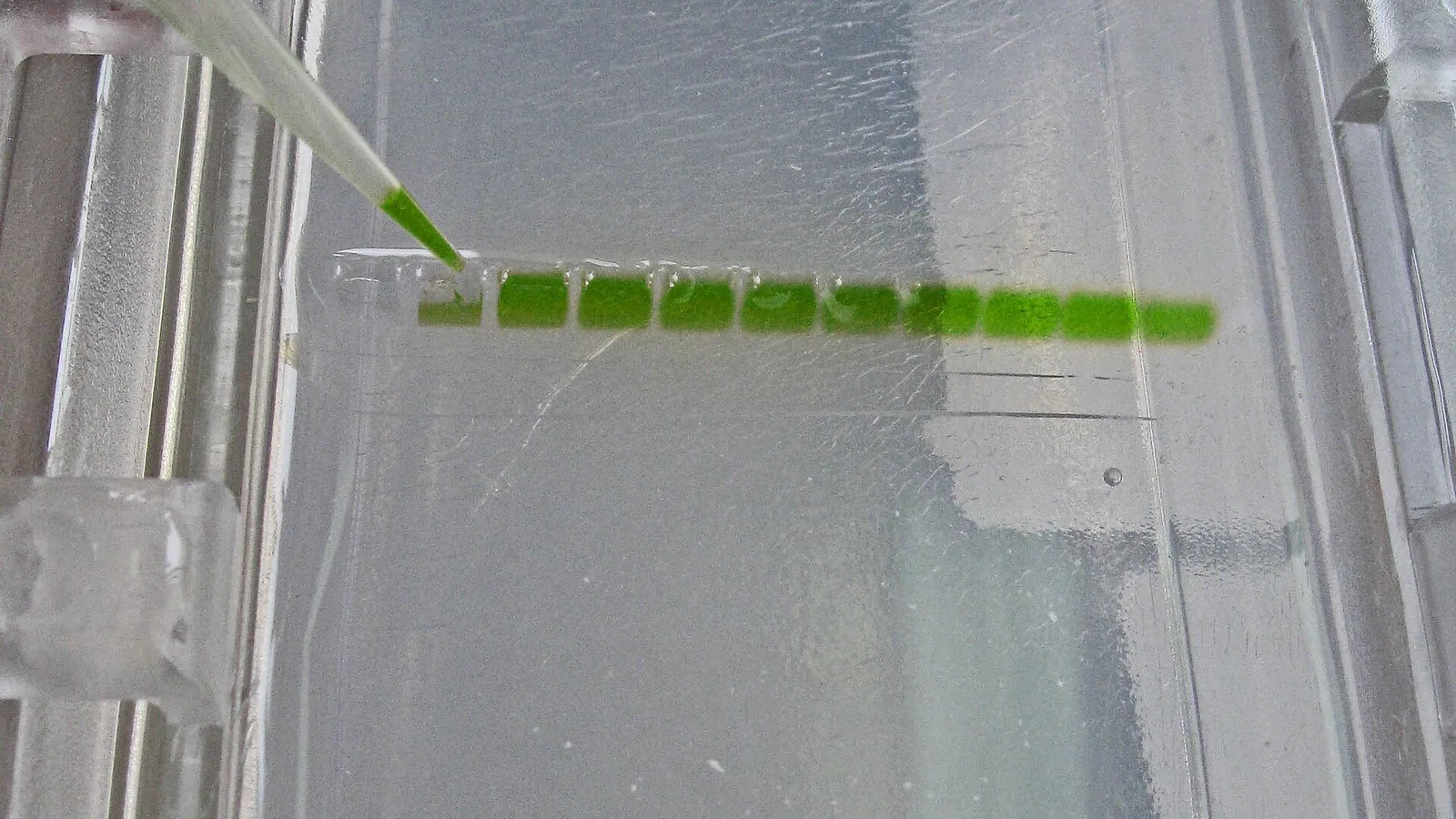 Gel electrophoresis laboratory