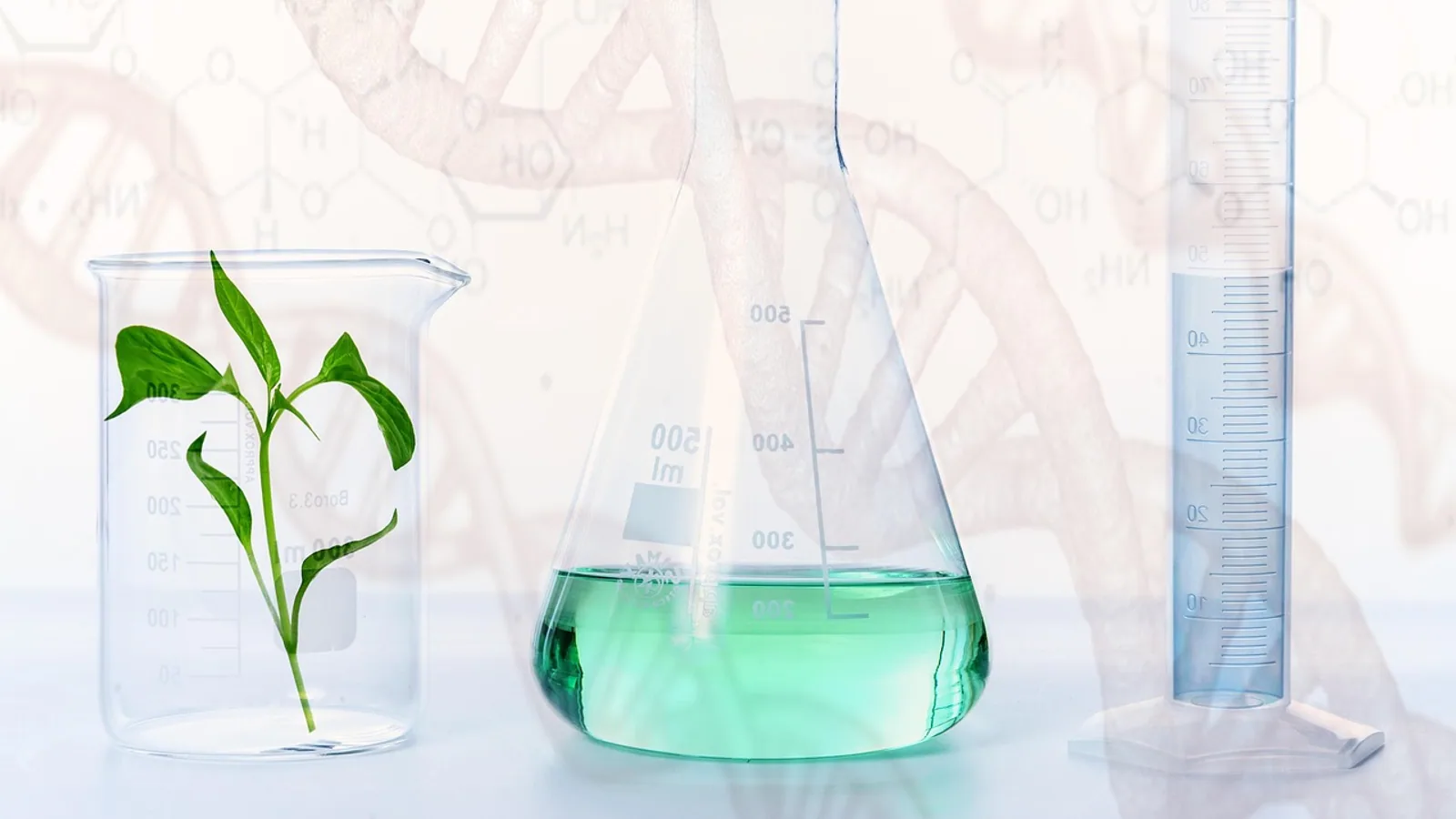 Mendel Heredity: Laws of Inheritance Explained Simply