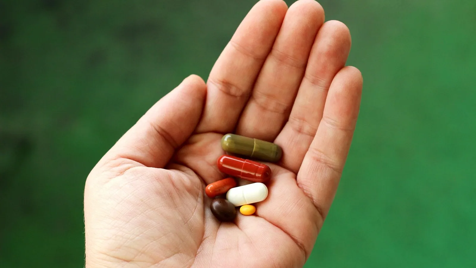 Budesonide Side Effects in Dogs and Cats