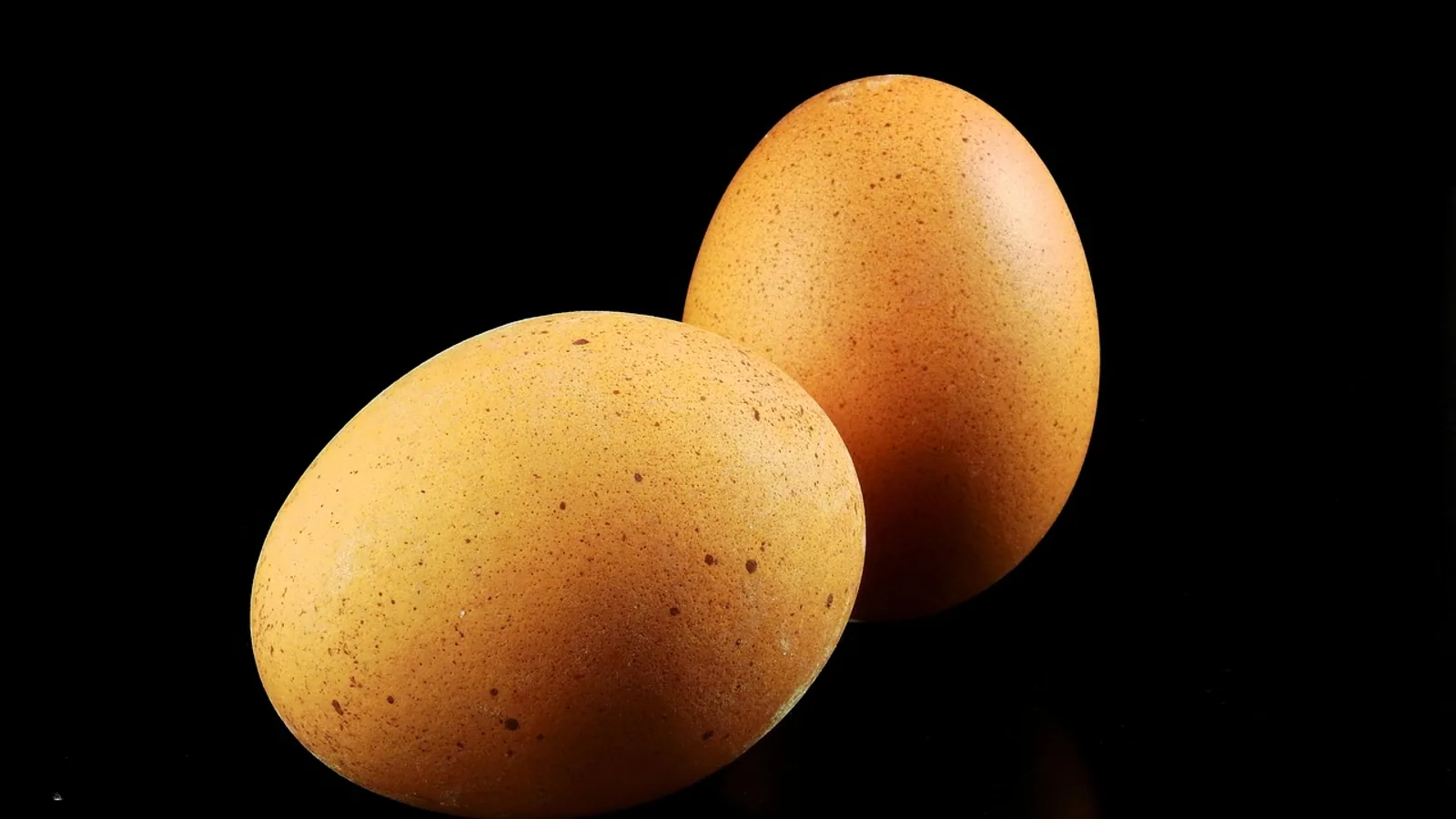 What Are Lash Eggs? Causes and What to Do