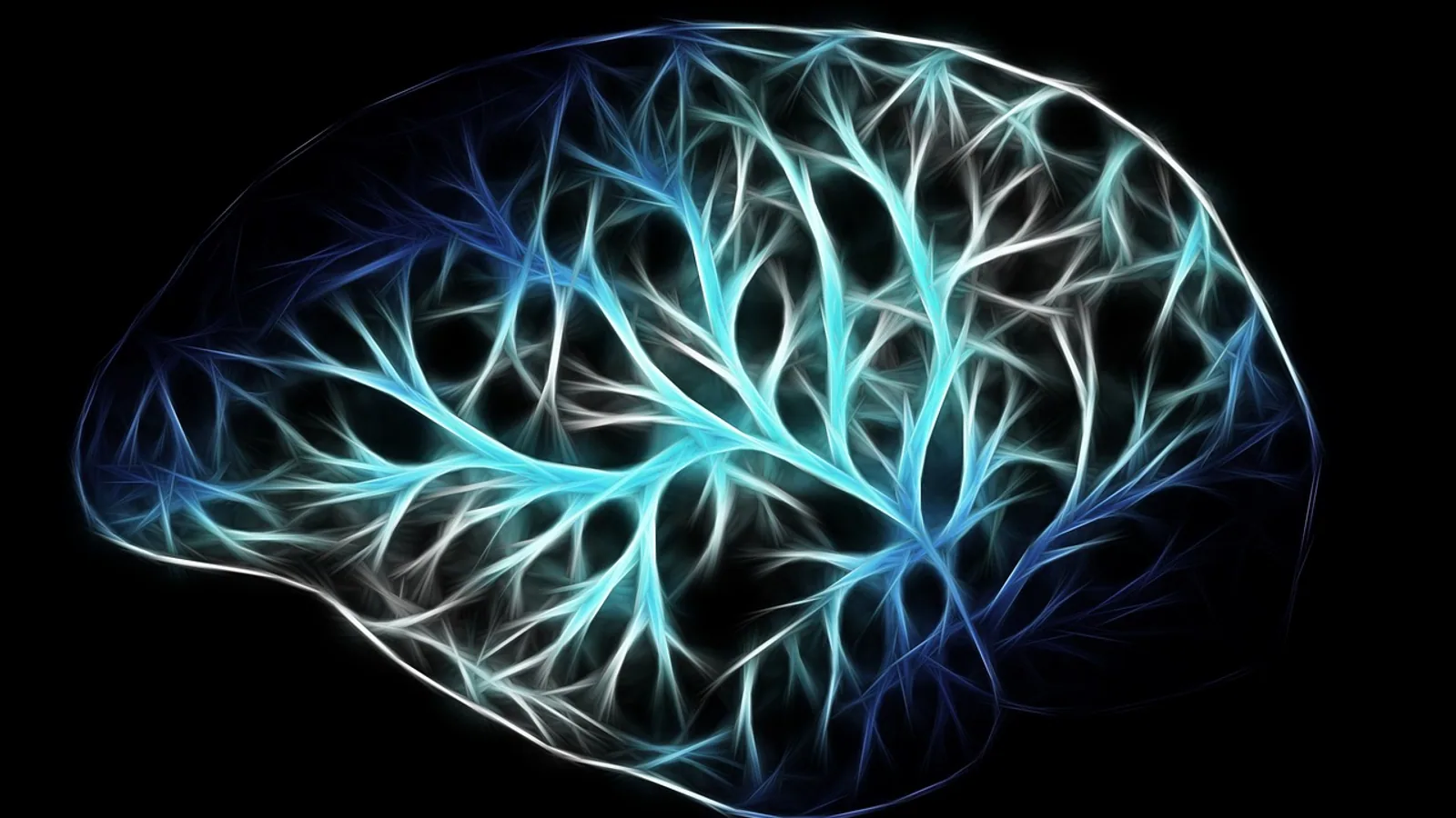 Somatic Nerves: What They Are and What They Do