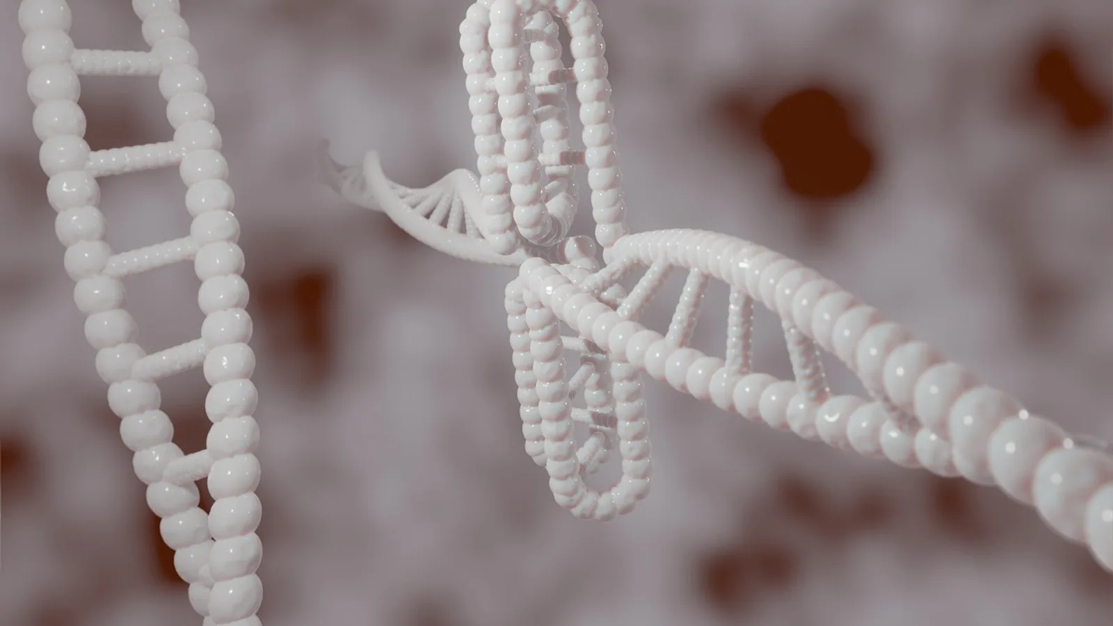 What Is a Karyotype? Definition, Uses, and How to Read One