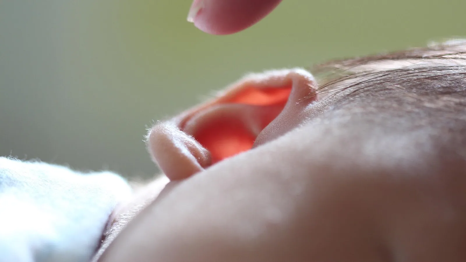 Vestibular Organs: Anatomy and Balance Function