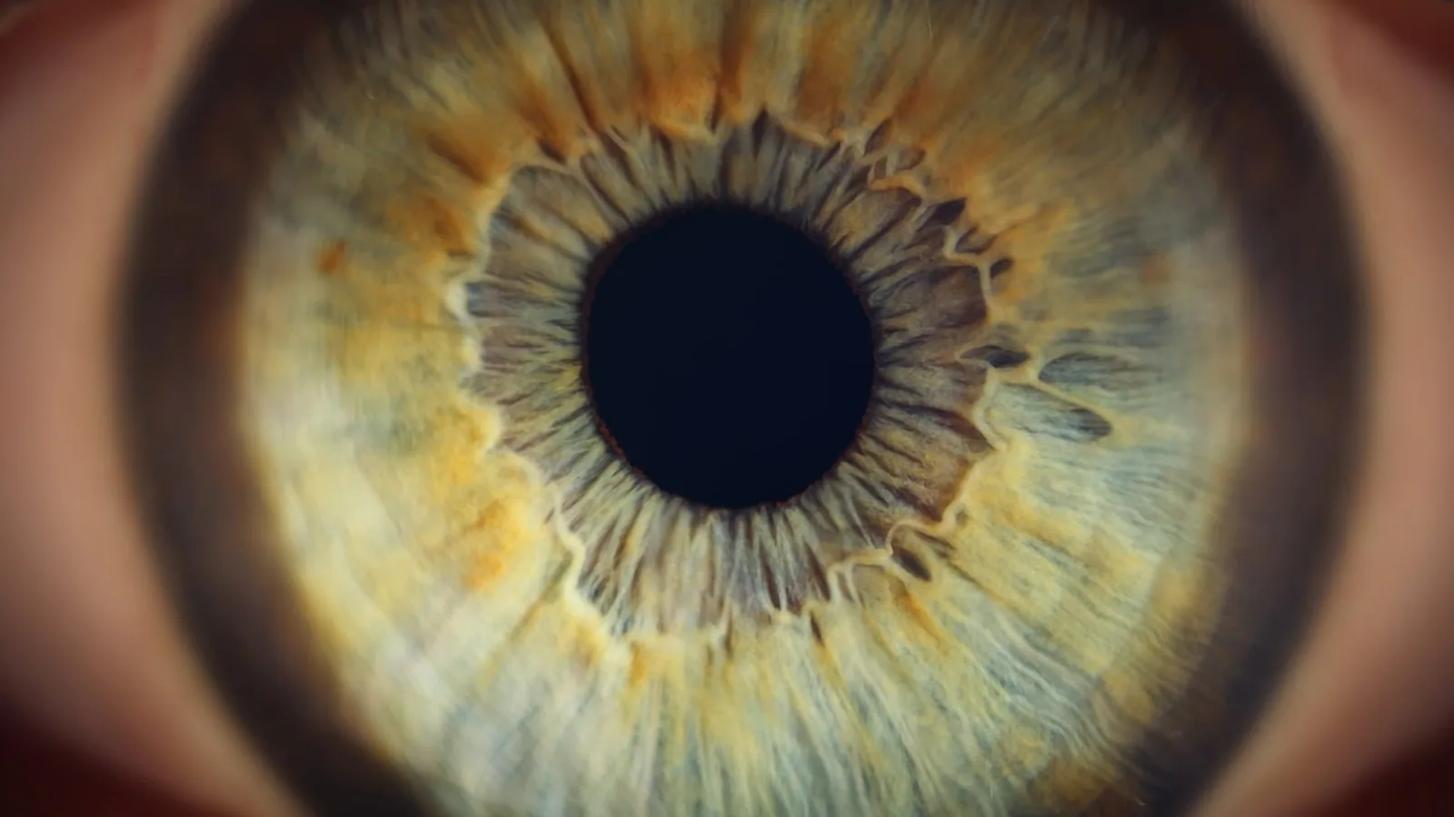 Palpebral Aperture: Anatomy and Clinical Meaning