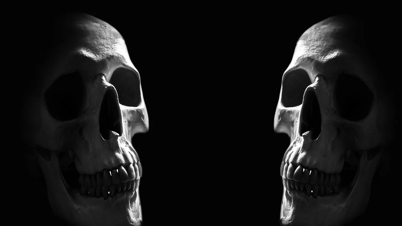 Lateral Sulcus (Sylvian Fissure): Anatomy and Borders