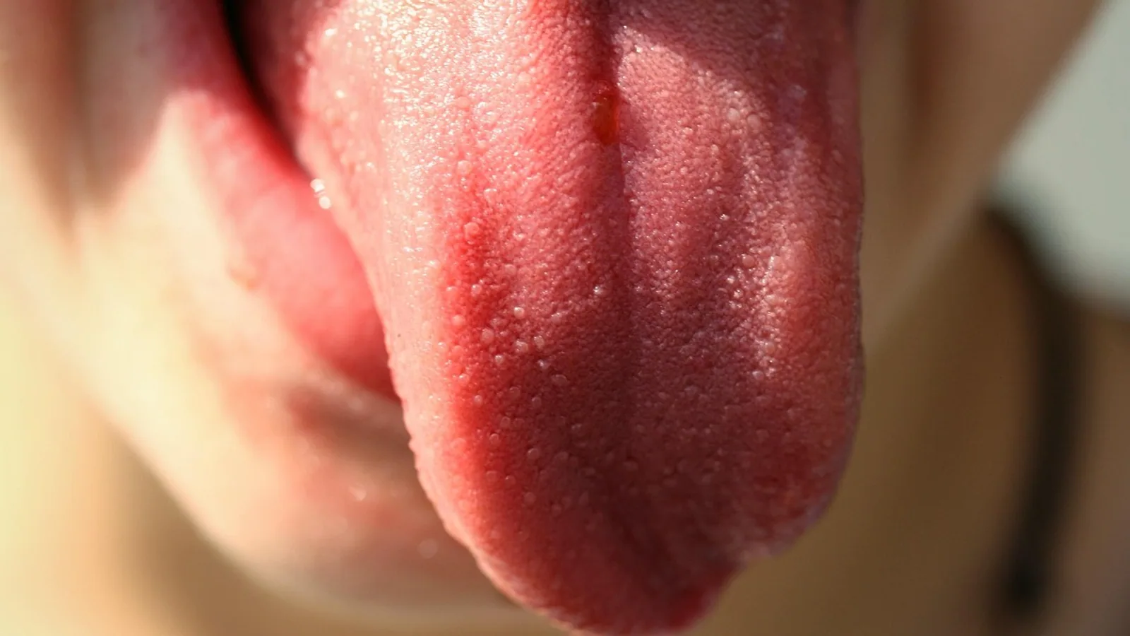 Circumvallate Papillae: Structure and Function