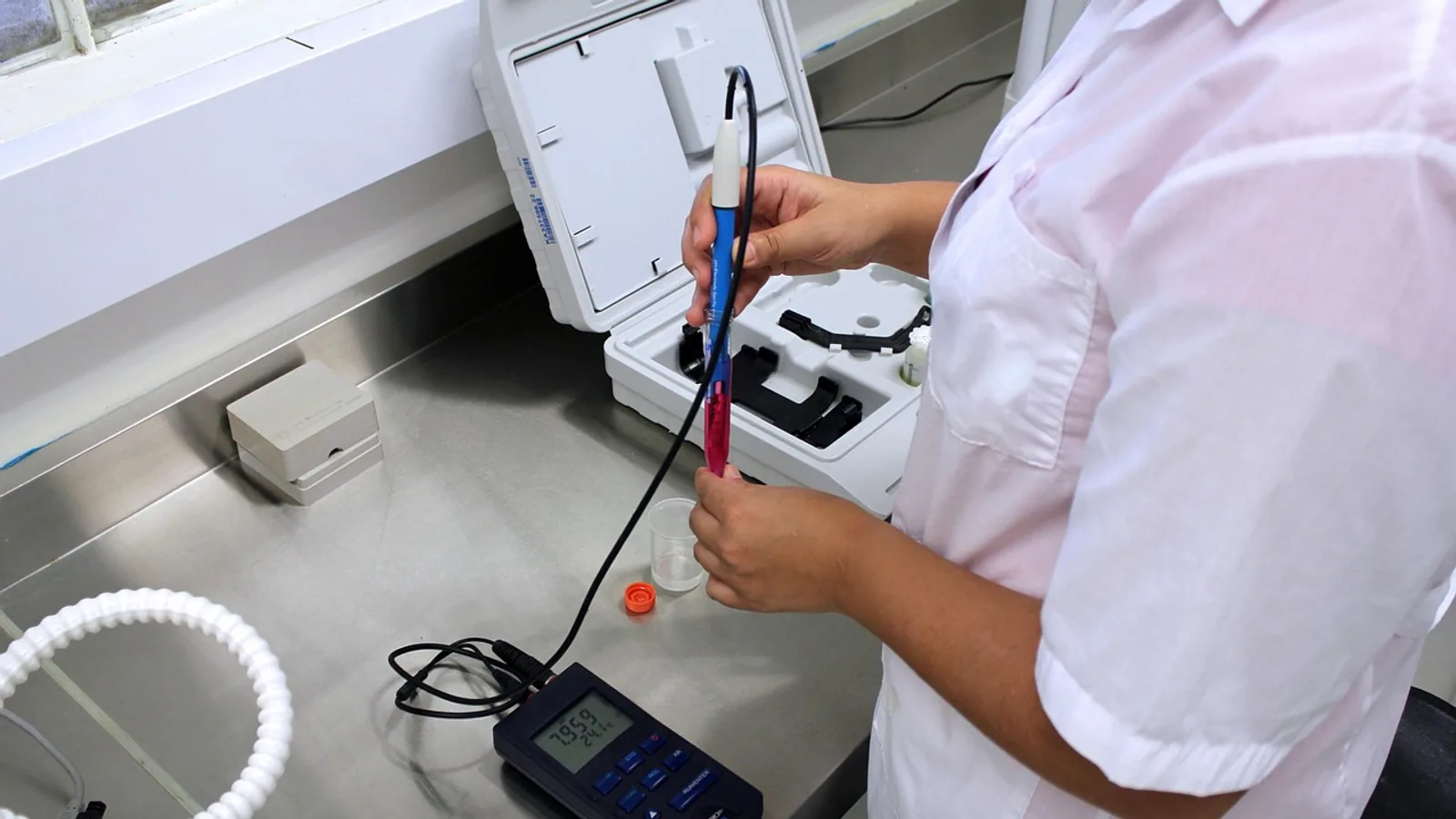 In Vitro vs In Vivo: Key Differences Explained