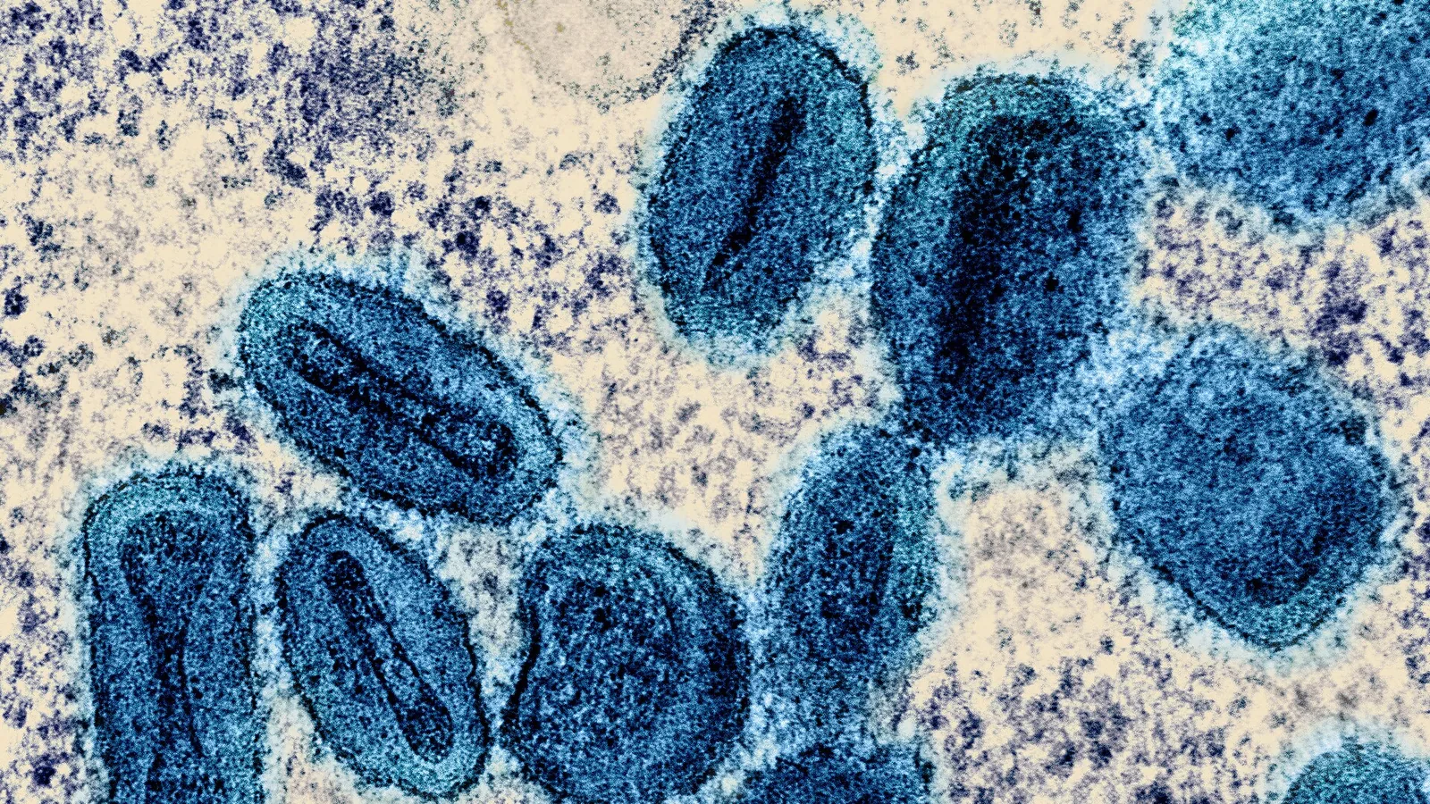 Laboratory virus laboratory research
