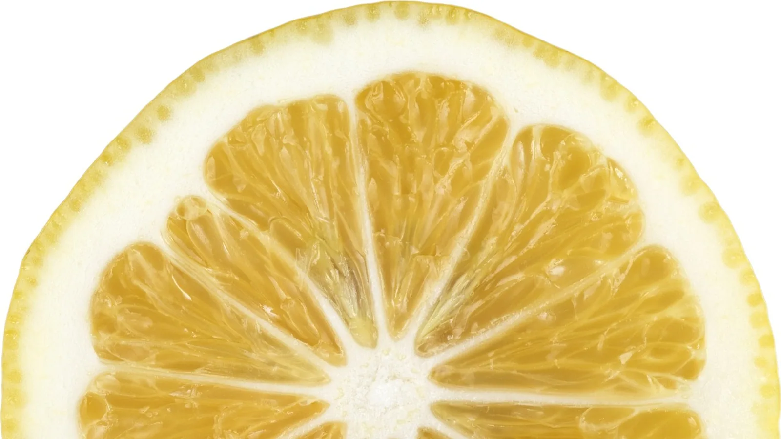 Can Dogs Eat Lemon? Citrus Safety Explained