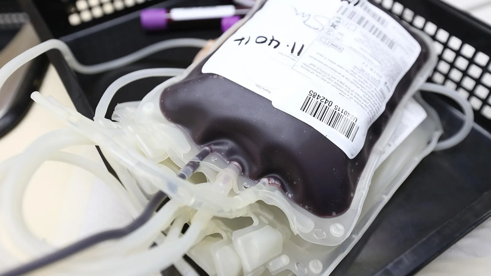 IV Fluids: Types, Rates, and Vet Calculations