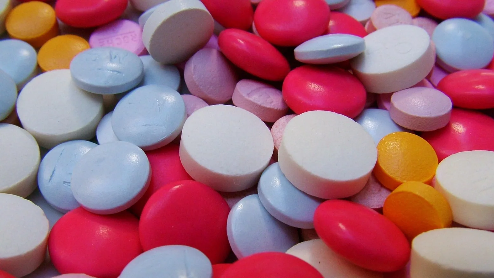 Metronidazole Side Effects in Pets and People