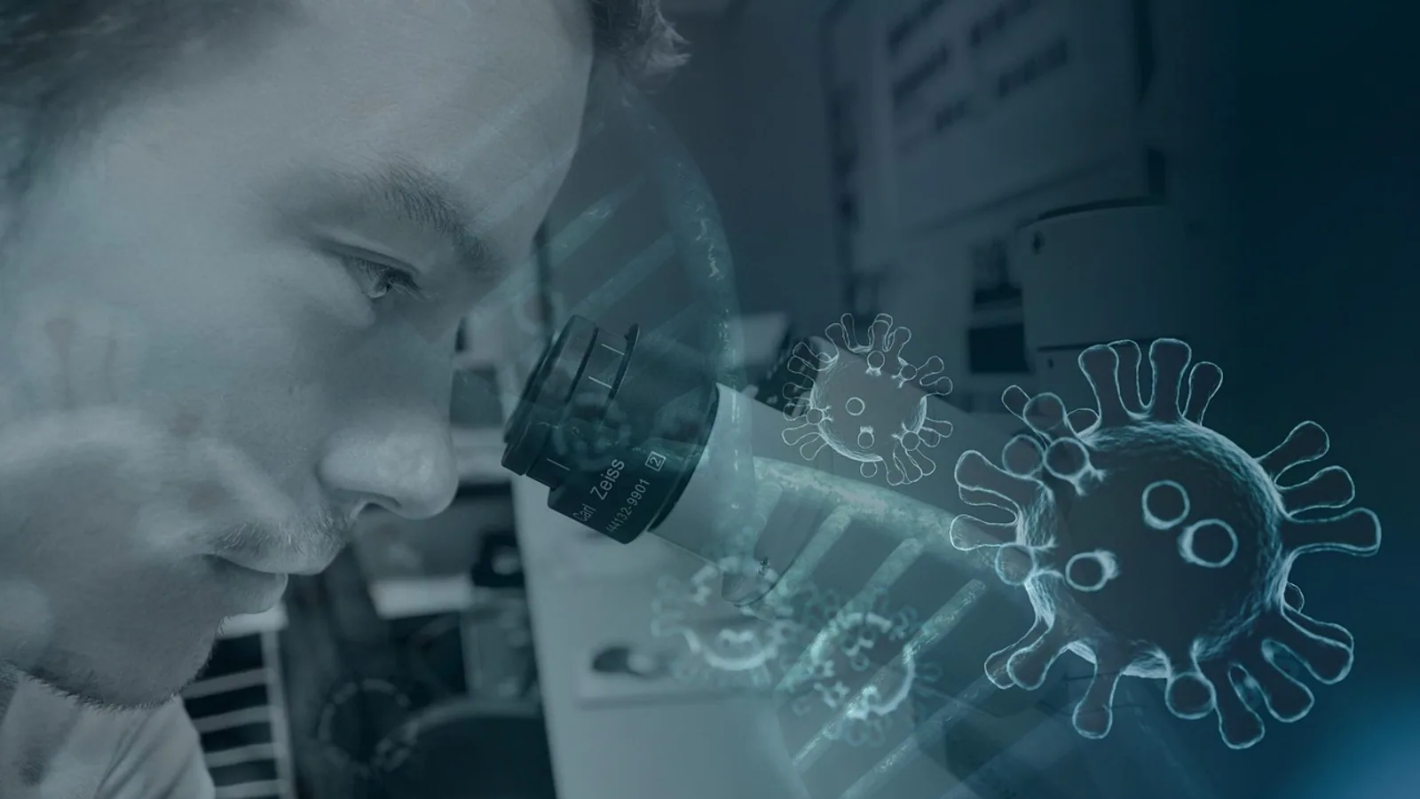 Cell Level Organization: From Cells to Organisms