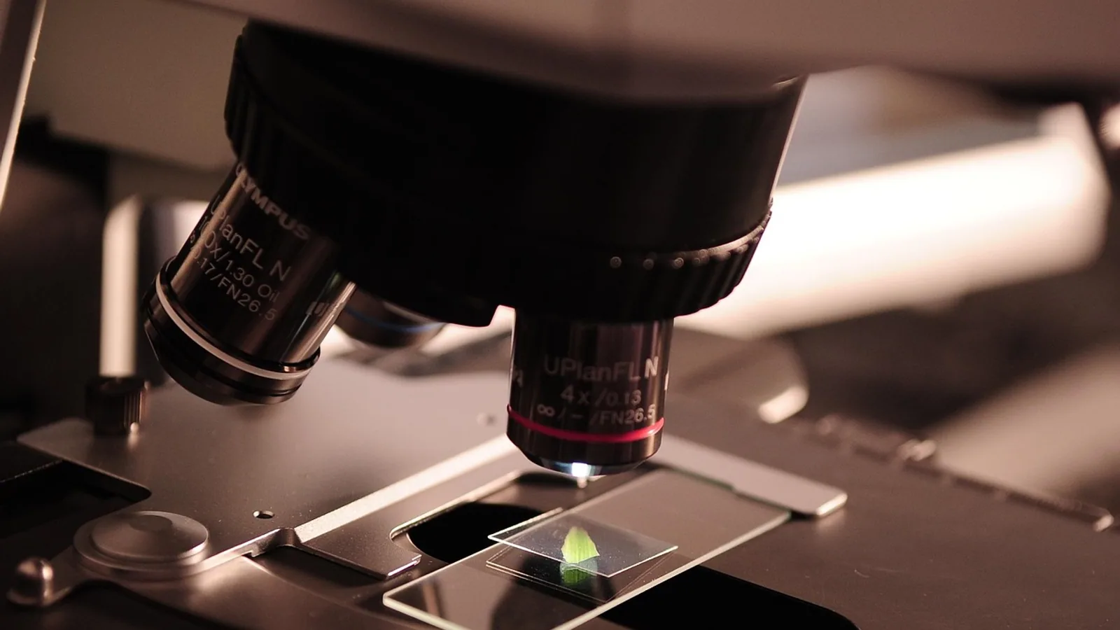 Inhibitor Definition: Types and Examples in Biology