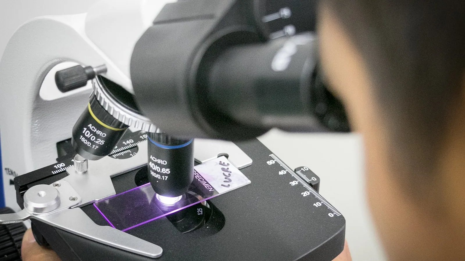 Imaging Bacteria: Microscopy and Advanced Techniques