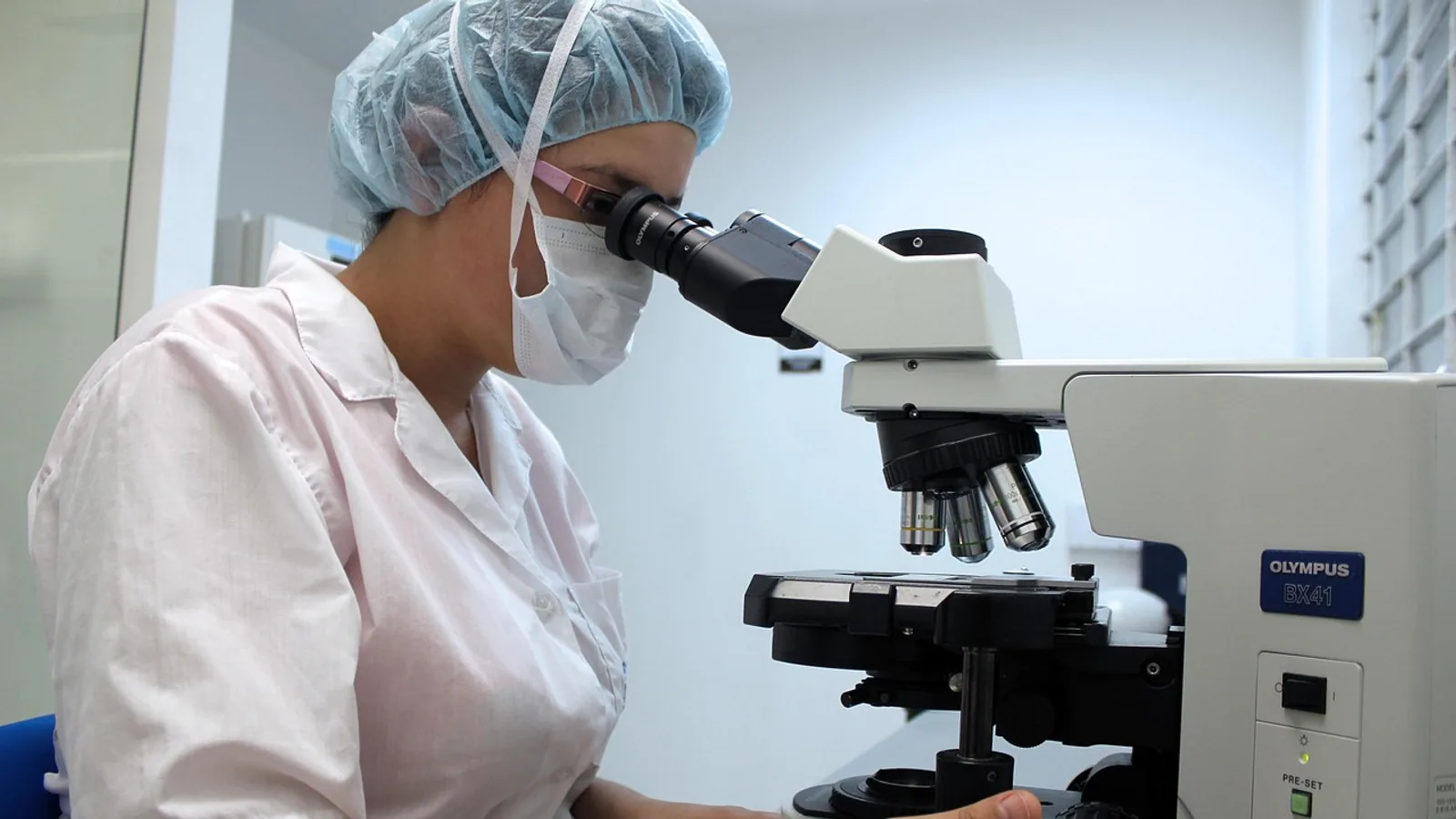 Female Reproductive System: Anatomy and Function