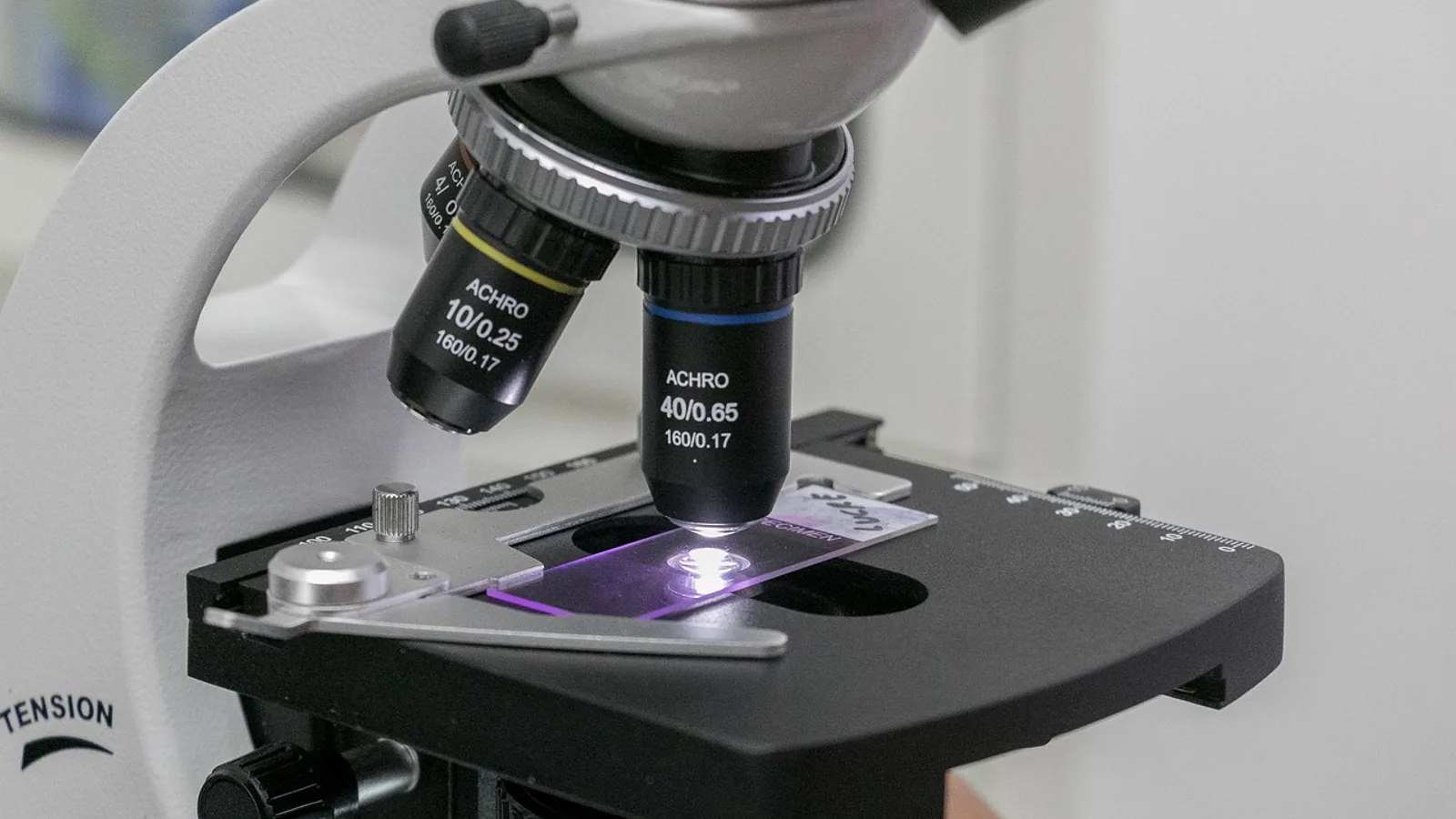 Protein Polymerization: Mechanisms and Examples