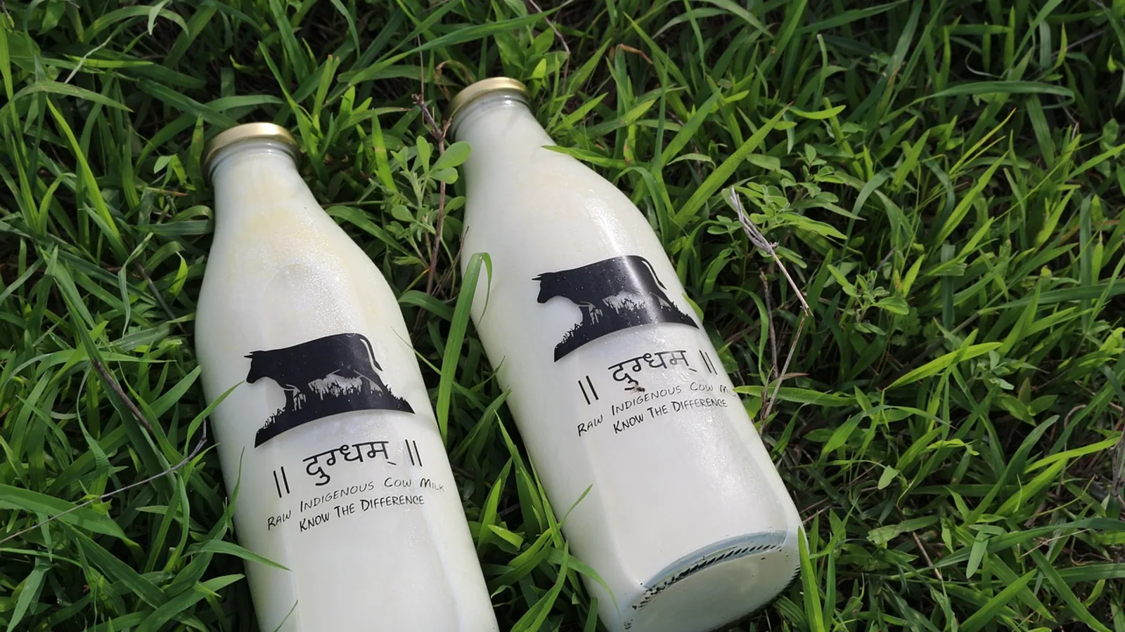 A1 vs A2 Milk: What the Beta-Casein Difference Means