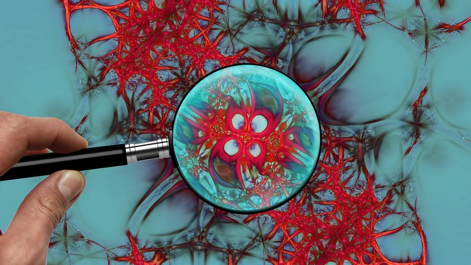 Function of Nerves: How the Nervous System Works