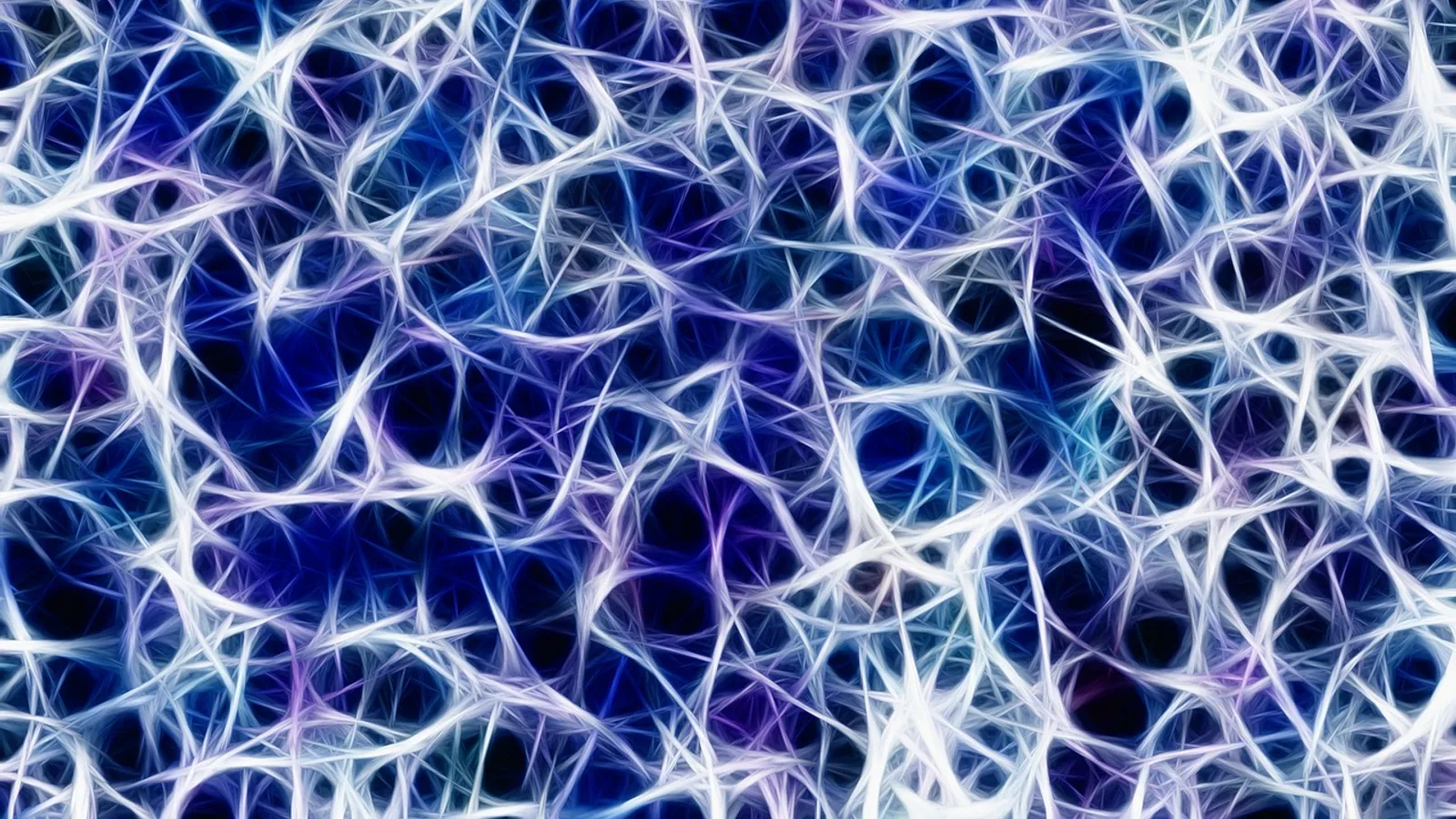 Hypothalamus Function: Roles and Pathways