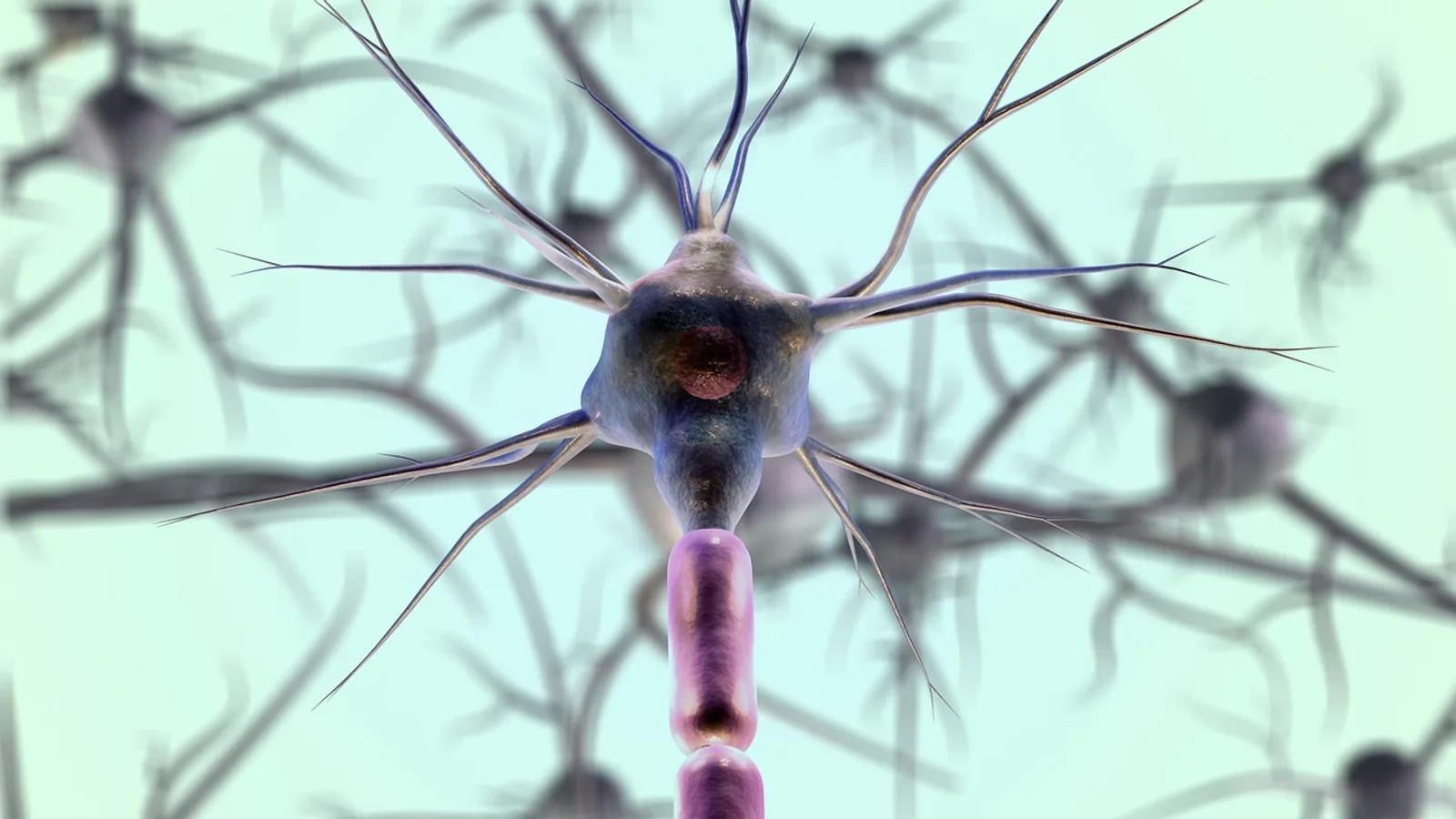 Nerve Tissue: Neurons, Glia, and Structure Explained