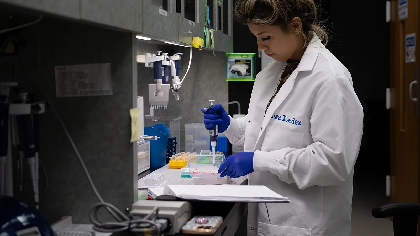 PCR molecular diagnostics laboratory