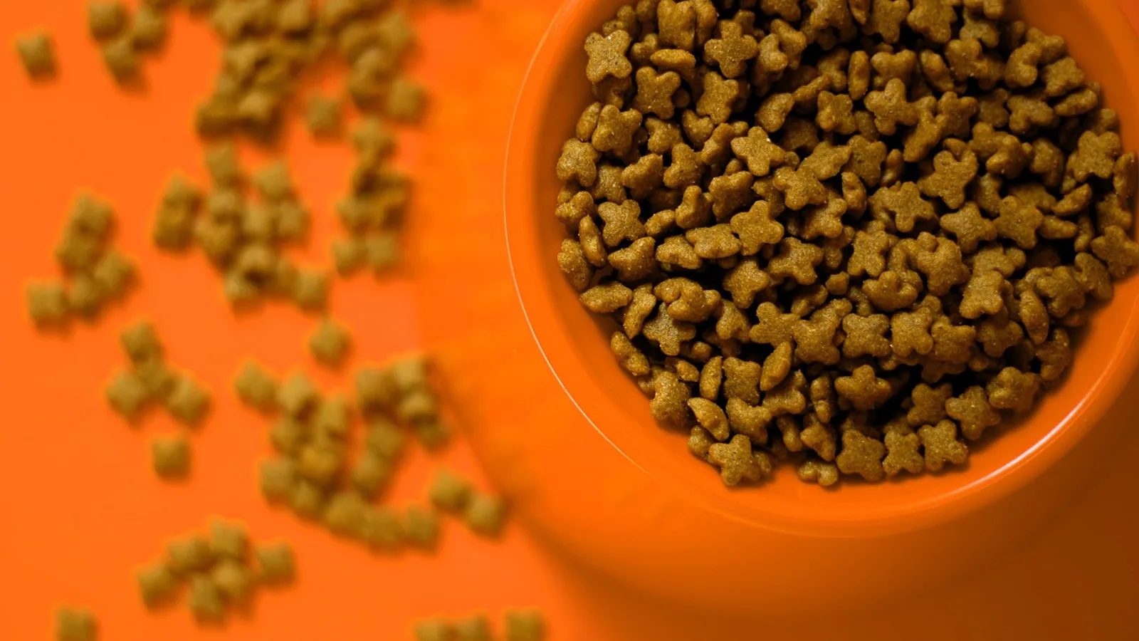 Purina ONE Dog Food: A Veterinarian's Review