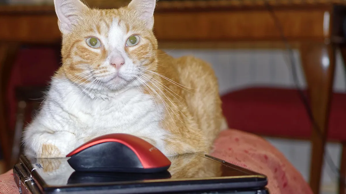 Are Alcohol Markers Toxic to Cats? Risks and What to Do