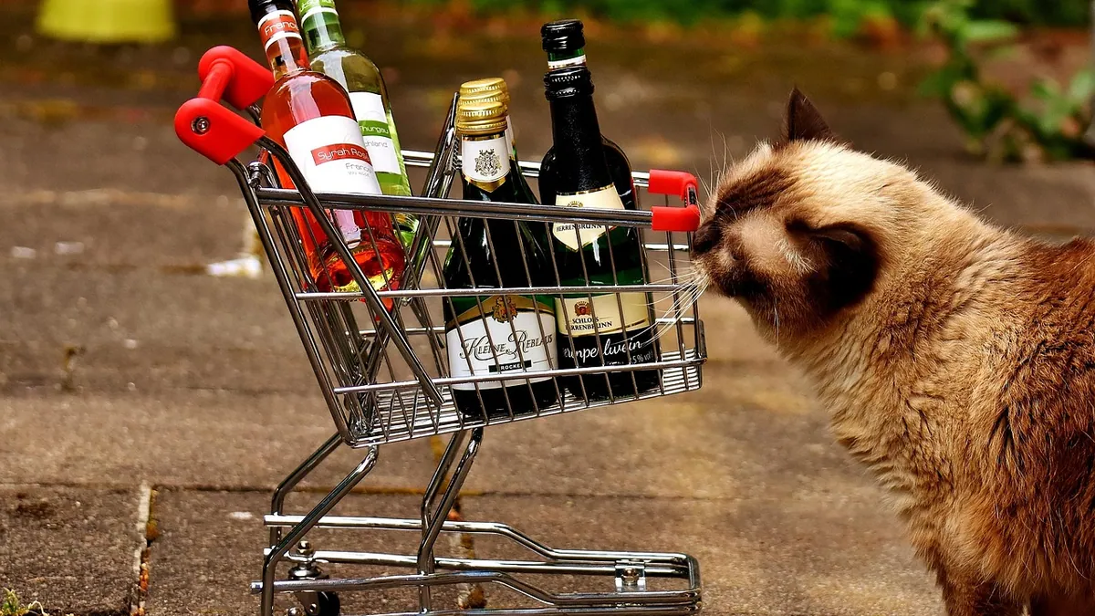 Is Alcohol Toxic to Cats? Rubbing Alcohol and More