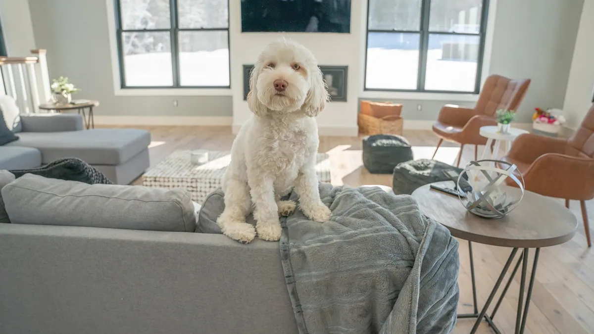 Is Bleach Harmful to Dogs and Cats? Safe Use