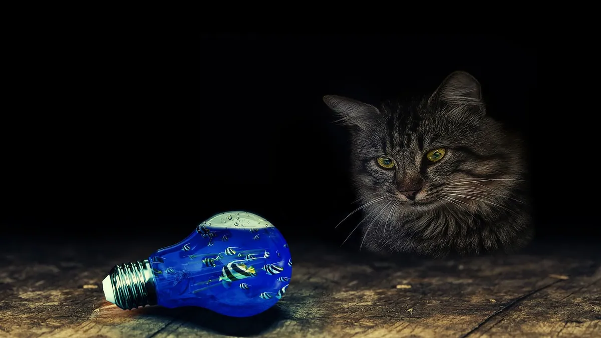 Can Cats Eat Beer Battered Fish? Alcohol and Oil Risks