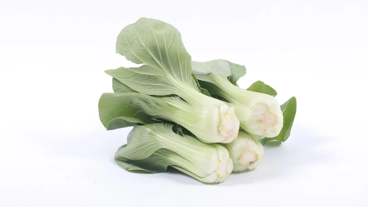 Can Cats Eat Bok Choy? Raw, Cooked, and Leaf Safety